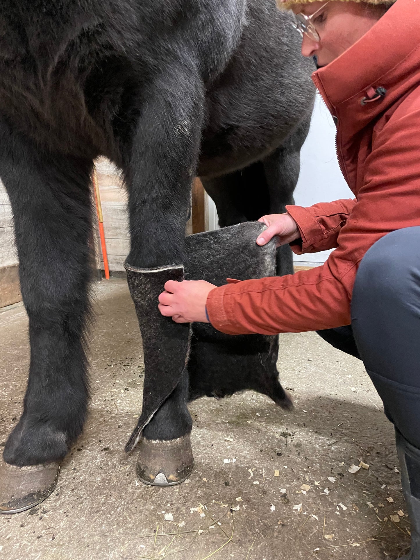 Belegg til stallbandasje i norsk ull